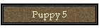 Puppy 5