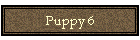 Puppy 6