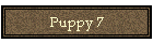 Puppy 7